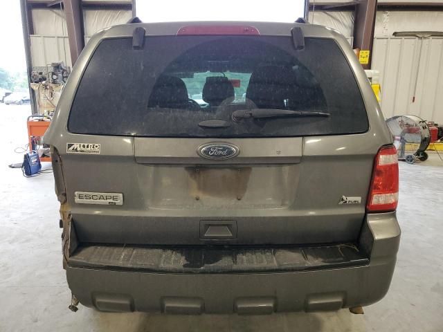 2011 Ford Escape XLT