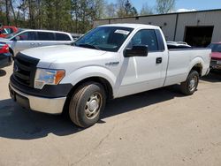 Salvage cars for sale at Ham Lake, MN auction: 2013 Ford F150