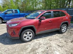Salvage cars for sale at Candia, NH auction: 2019 Toyota Rav4 XLE