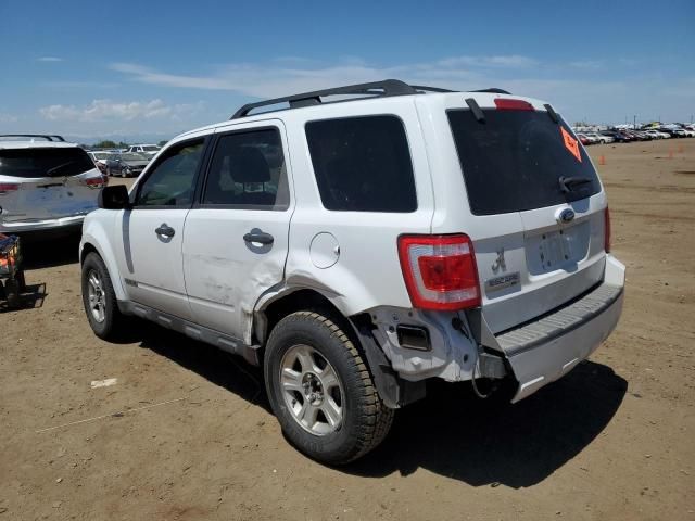 2008 Ford Escape XLT