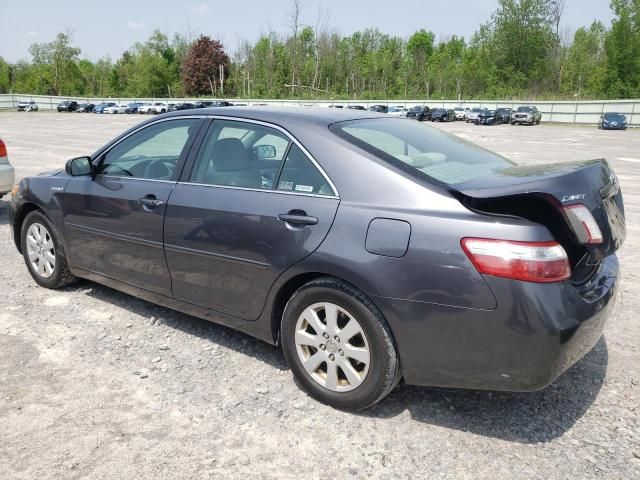 2009 Toyota Camry Hybrid