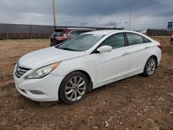 Salvage cars for sale from Copart Rapid City, SD: 2013 Hyundai Sonata SE