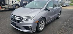 Salvage cars for sale at Waldorf, MD auction: 2019 Honda Odyssey EX