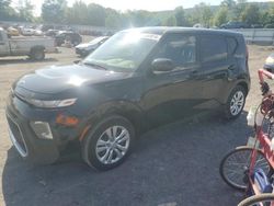 Salvage cars for sale at Grantville, PA auction: 2021 KIA Soul LX