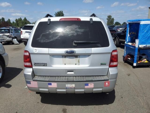 2010 Ford Escape XLT