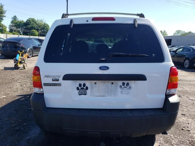 2005 Ford Escape XLT