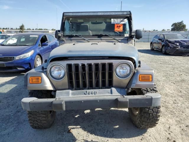 2004 Jeep Wrangler / TJ Sahara