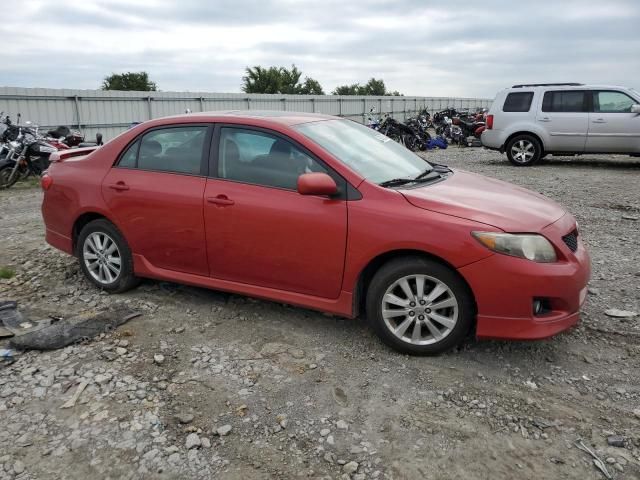 2010 Toyota Corolla Base