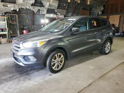 Salvage cars for sale at Albany, NY auction: 2017 Ford Escape SE