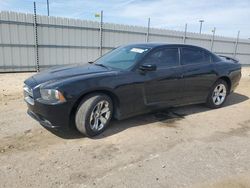 Hail Damaged Cars for sale at auction: 2014 Dodge Charger SE