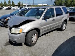 Ford Escape XLT salvage cars for sale: 2001 Ford Escape XLT