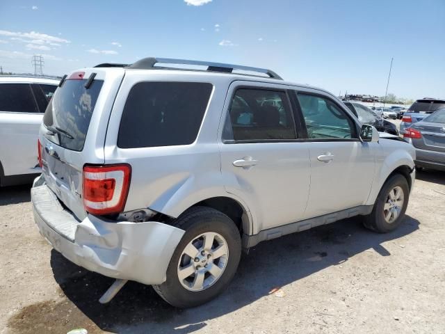 2011 Ford Escape Limited