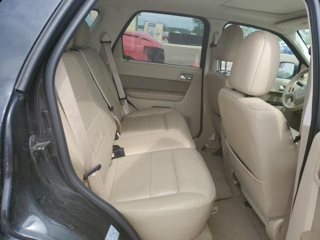 2011 Ford Escape Limited