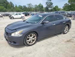 Salvage cars for sale from Copart Hampton, VA: 2012 Nissan Maxima S