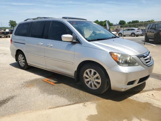 2010 Honda Odyssey EXL