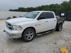 Salvage trucks for sale at New Braunfels, TX auction: 2010 Dodge RAM 1500