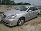 2011 Lexus ES 350