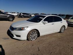 Salvage cars for sale from Copart Amarillo, TX: 2013 Honda Accord EXL