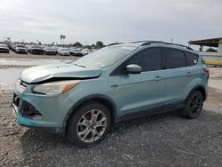 Vehiculos salvage en venta de Copart Corpus Christi, TX: 2013 Ford Escape SE