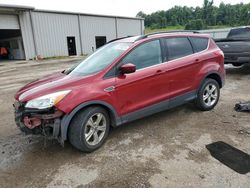 Vehiculos salvage en venta de Copart Grenada, MS: 2014 Ford Escape SE