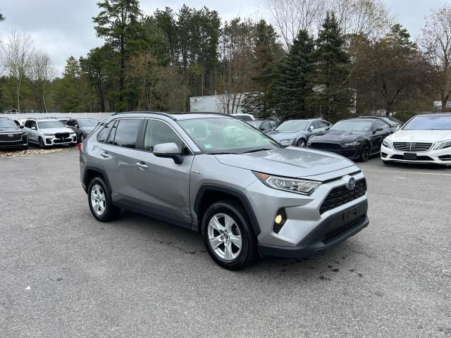 2019 Toyota Rav4 XLE