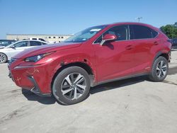 Vehiculos salvage en venta de Copart Wilmer, TX: 2019 Lexus NX 300H