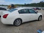 2005 Nissan Maxima SE