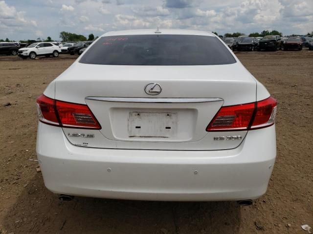 2010 Lexus ES 350