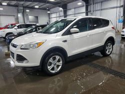 2013 Ford Escape SE en venta en Ham Lake, MN