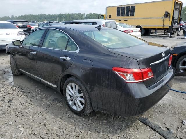 2011 Lexus ES 350