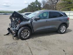 Salvage cars for sale at Brookhaven, NY auction: 2022 Ford Escape SE