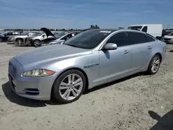 Salvage cars for sale at Antelope, CA auction: 2011 Jaguar XJL