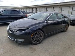 Salvage cars for sale at Louisville, KY auction: 2013 Lincoln MKZ