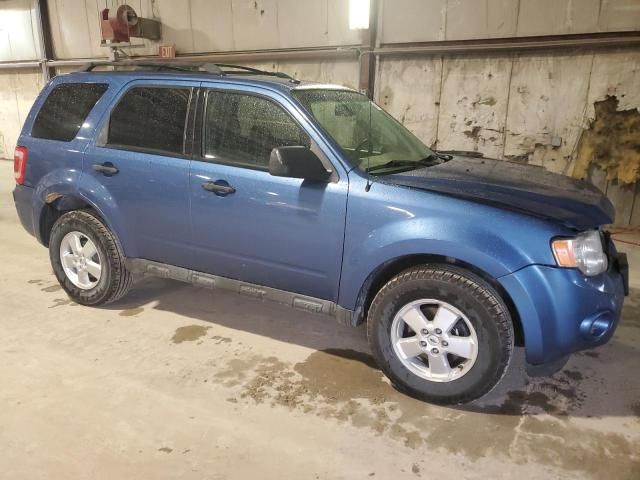 2009 Ford Escape XLT