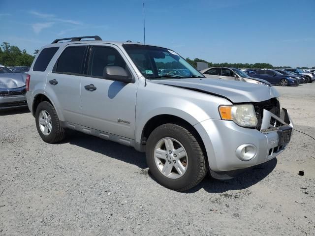 2009 Ford Escape Hybrid