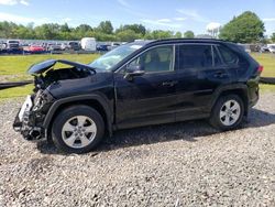 Salvage cars for sale at Hillsborough, NJ auction: 2019 Toyota Rav4 XLE