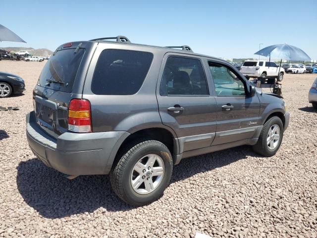 2005 Ford Escape HEV