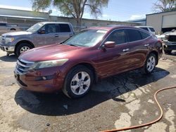 Salvage cars for sale at Albuquerque, NM auction: 2012 Honda Crosstour EXL