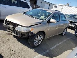Salvage cars for sale from Copart Vallejo, CA: 2009 Toyota Corolla Base