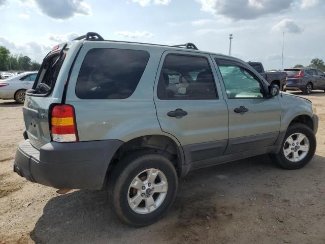 2007 Ford Escape XLT