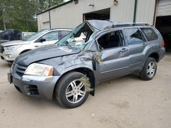 Salvage cars for sale at Ham Lake, MN auction: 2004 Mitsubishi Endeavor XLS