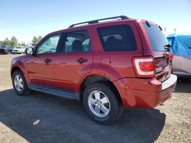 2012 Ford Escape XLT