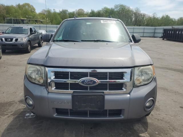 2008 Ford Escape XLT