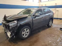 Toyota rav4 xle salvage cars for sale: 2020 Toyota Rav4 XLE