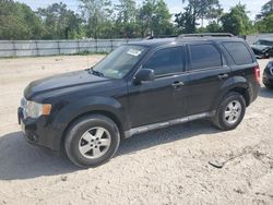 Ford Escape xlt salvage cars for sale: 2010 Ford Escape XLT