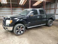 Salvage cars for sale from Copart Bowmanville, ON: 2013 Ford F150 Supercrew