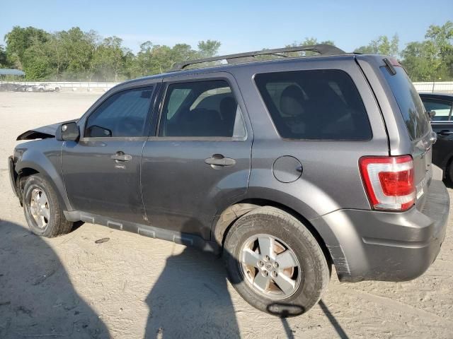 2010 Ford Escape XLT