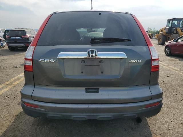 2010 Honda CR-V EXL