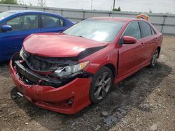 Salvage cars for sale at Elgin, IL auction: 2014 Toyota Camry L