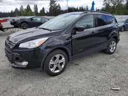 Ford Escape SE salvage cars for sale: 2015 Ford Escape SE